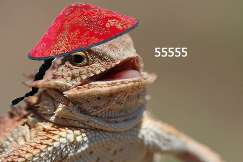 bqG3o2e