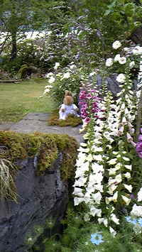 DVC00011