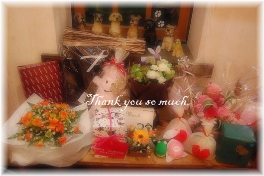 DSC_0050t (36)a