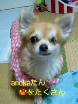 56543ff0.jpg