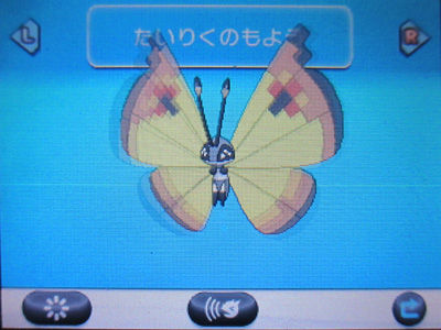 ビビヨン(たいりくのもよう)、ポケットモンスターXY