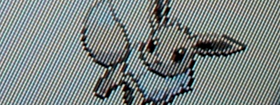 WCSの色違いイーブイ、受け取ったぜ!!!!! : 有栖のポケモン日記