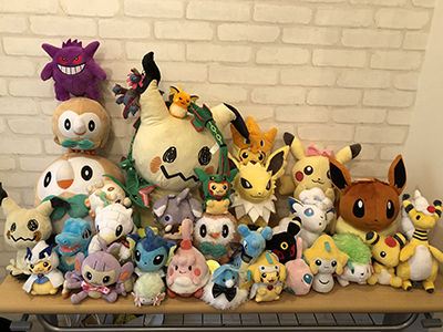 非公認イベント「ポケカ女子のお茶会」1、参加者が持参した相棒ポケモンのぬいぐるみたち