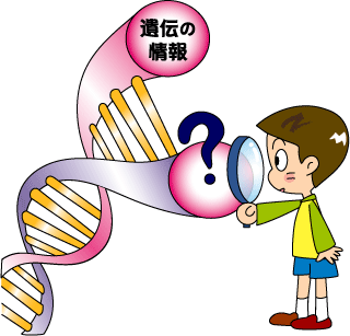 f6ea8975