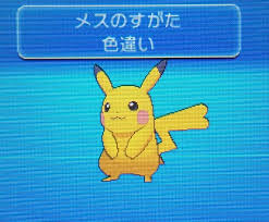 images-4