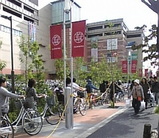 51074ea3.jpg