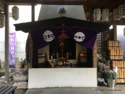 IMG_1918