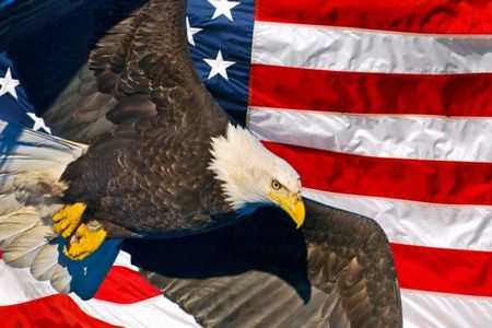 american-eagle-day_120612