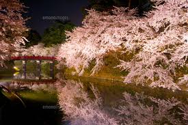 images (1)