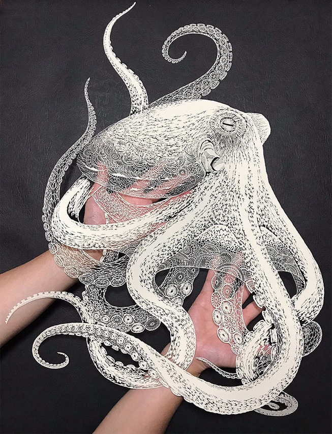 kirie-art-paper-cutting-octopus-masayo-fukuda-japan-2-1