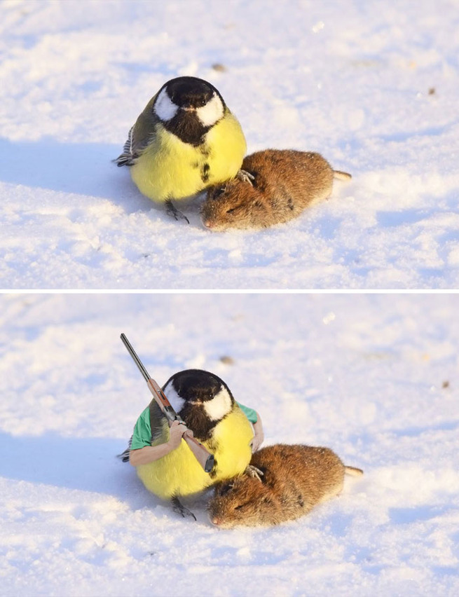 funny-photoshop-battle-winners-188-5a63887aeab6d__700 (1)
