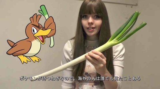 日本の野菜事情 海外の反応 (4)