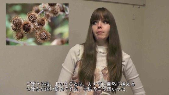 日本の野菜事情 海外の反応 (8)