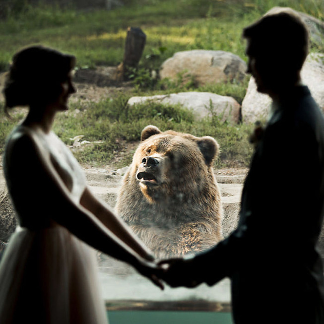 bear-photobombs-wedding2-5b9a064dc6634__700