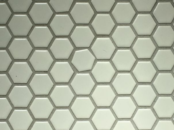 5b3b8e56be867_cd7ubshjqpjz__605