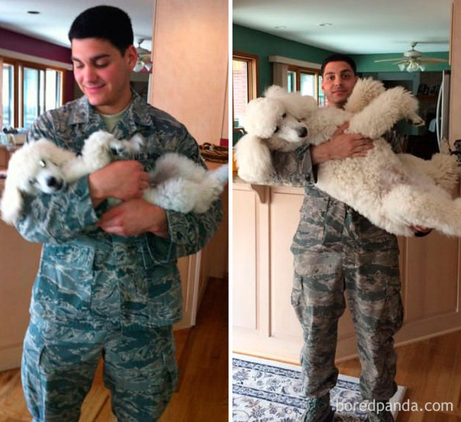 before-after-dogs-growing-up-owners-18-5be01fe15386f__700