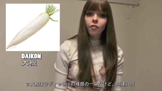 日本の野菜事情 海外の反応 (6)