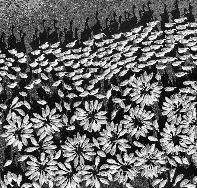 best-drone-photography-contest-winners-2018