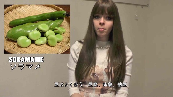 日本の野菜事情 海外の反応 (20)