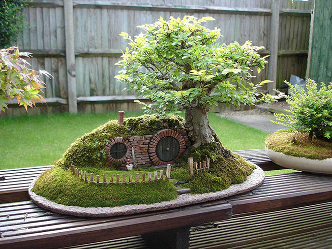 amazing-bonsai-trees-31-5710fa291dd89__700 (1)