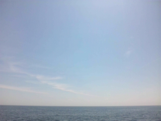 d7b64043.jpg