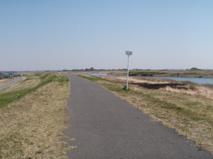茨城県道502号取手常総自転車道線 (1)