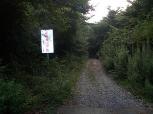 P9190026