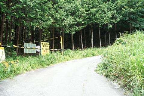 甲府精進湖線(15)