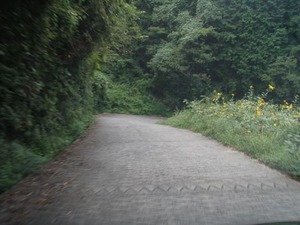 P9190024