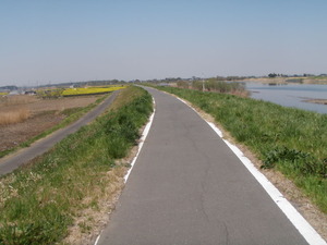 茨城県道502号取手常総自転車道線 (22)