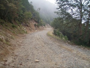 P9200039