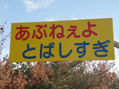 日川浜 (4)