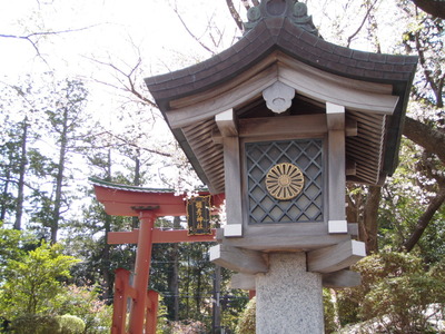 弥彦神社 (3)