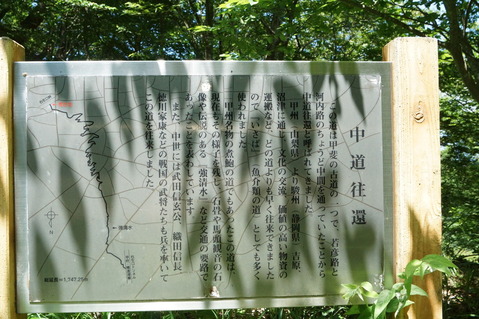 甲府精進湖線 (11)