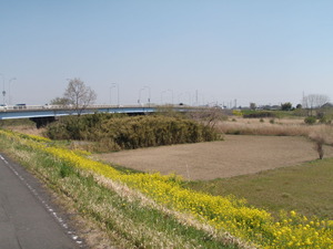 茨城県道502号取手常総自転車道線 (49) 大和橋