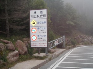 P9200035
