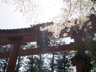 弥彦神社 (9)