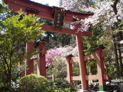 弥彦神社 (1)