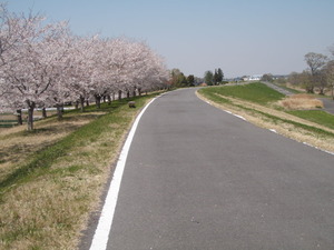 茨城県道502号取手常総自転車道線 (15)
