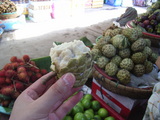 �ե롼��