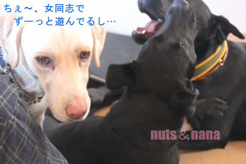 BlogPaint