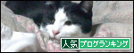 br_decobanner_20100315235149