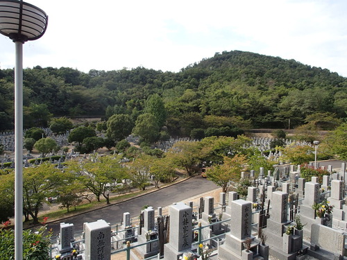 青の山墓地　全景2