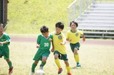DSC02004