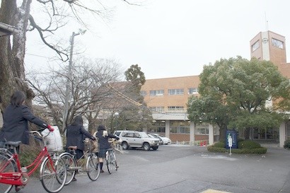 f7368d35.jpg