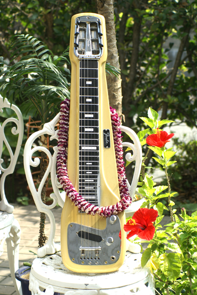 スティール・ギターファンには必見のハワイです。 : 東海林仁の心は