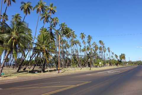 DSC 07144