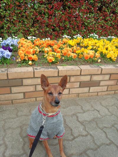 IMG_20130324_210823