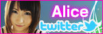 Alice on Twitter