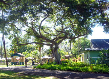 keiki zoo